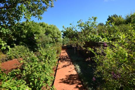 � auf dem gesamten Grundst�ck