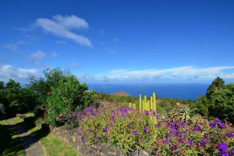 Subtropische Bl�tenpracht