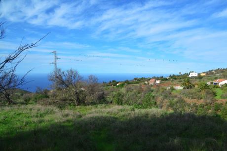 Bebaubare Fläche, Blick nach Nordwesten auf den nördlichen Barranco