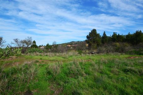 Bebaubare Fläche, Blick nach Norden
