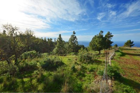 Bebaubare Fläche, Blick nach Westen