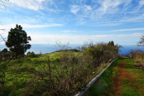 Bebaubare Fläche, Blick nach Westen