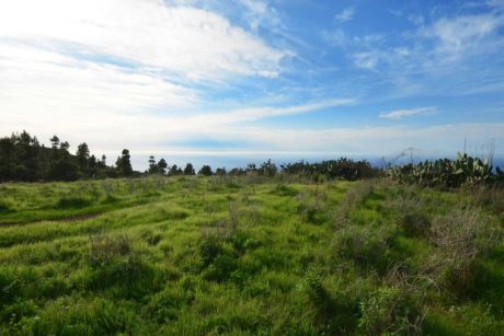 Bebaubare Fläche, Blick nach Südwesten