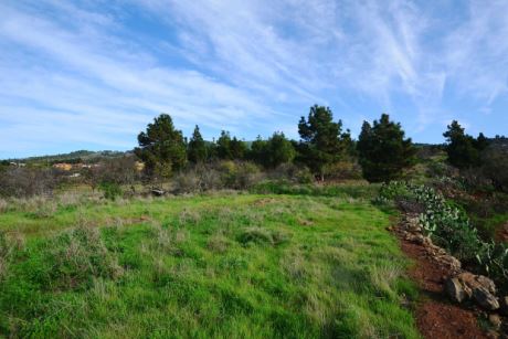 Bebaubare Fläche, Blick nach Osten