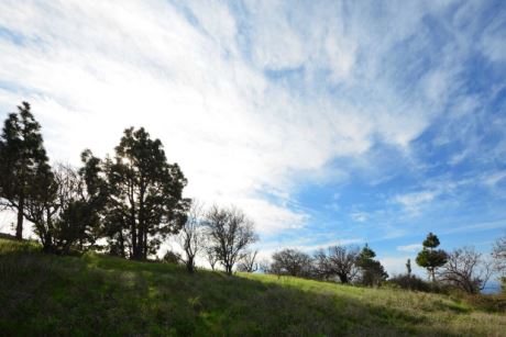 Bebaubare Fläche, Blick nach Süden