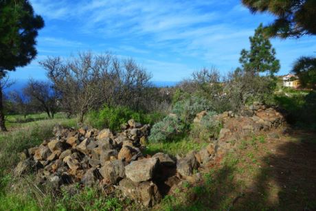 Bebaubare Fläche, ehemaliger Pajero