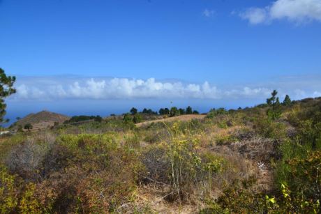 Blick nach Nordwesten