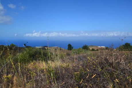 Blick nach Westen