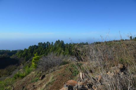 Blick vom Haus nach Nordwesten