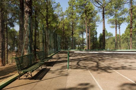 … der eigene Tennisplatz im Kiefernduft