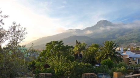 Blick über den Garten zum