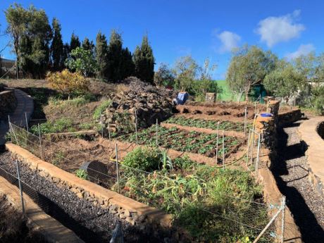 Blick über den Nutzgarten
