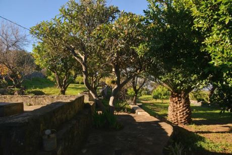 Sch�n eingewachsener Garten