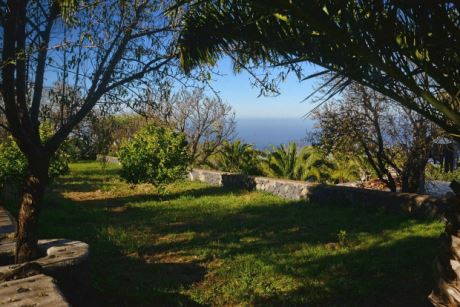 Sch�n eingewachsener Garten