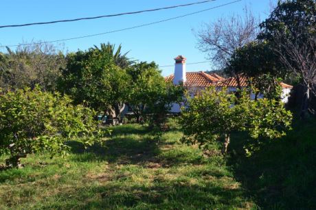 Sch�n eingewachsener Garten