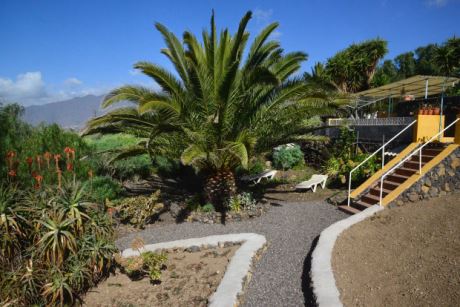 Überschaubare Gartenanalge mit Platz für eigene Vorstellungen