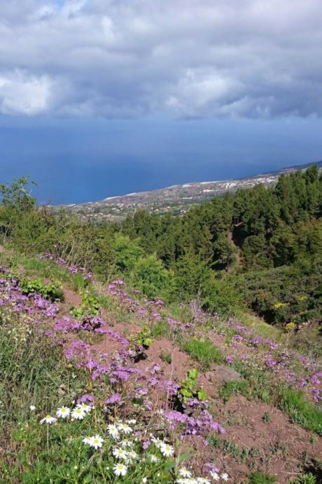 Blick nach Los Gallegos
