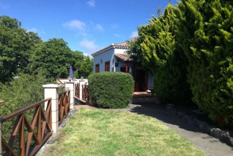 Gut eingewachsener Garten