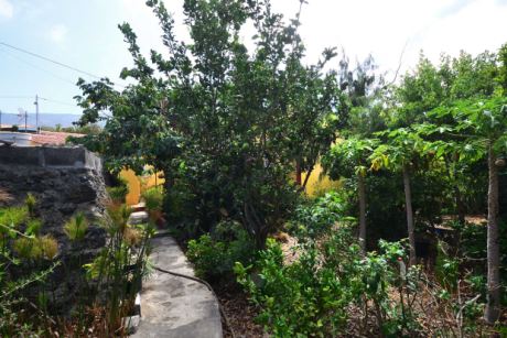 Sehr viele, verschiedene und gut tragende Fruchtb�ume