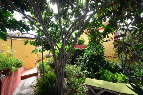 Sehr viele, verschiedene und gut tragende Fruchtb�ume