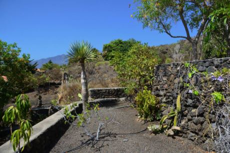 Pflegeleichter Garten