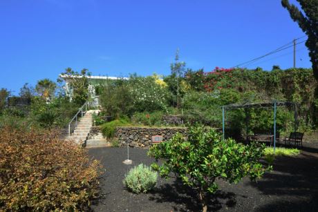 Garten mit einigen Obstb�umen