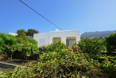 Gurt eingewachsener Garten