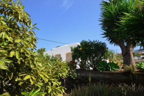 Schön eingewachsener Garten