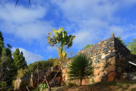 Schön eingewachsener Garten