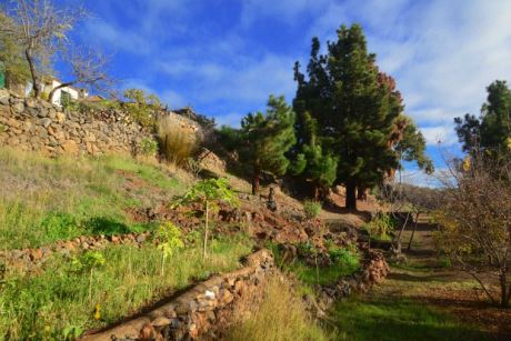 Schön angelegter Garten