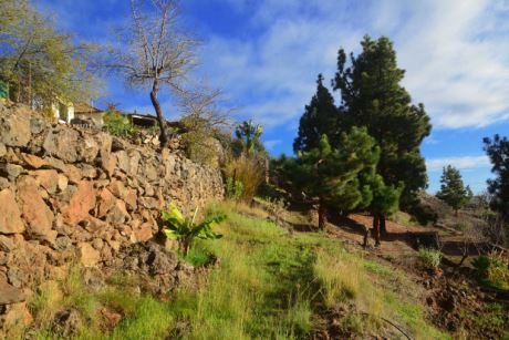 Schön angelegter Garten