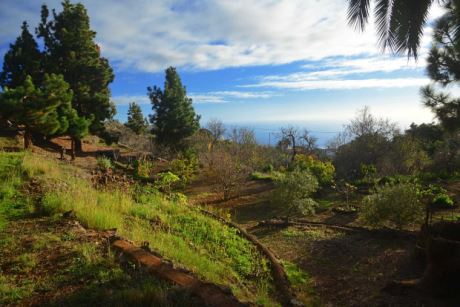 Garten mit herrlichem Meerblick