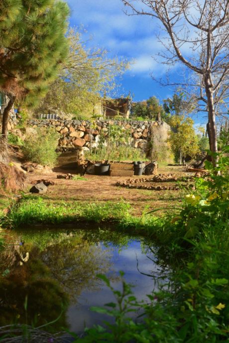 Ausgeklügelte Wasserläufe und kleine Teiche