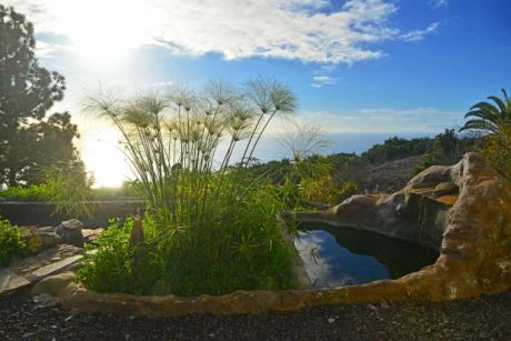 Ausgeklügelte Wasserläufe und kleine Teiche