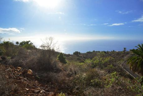 Blick nach Westen