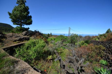 Blick nach Westen