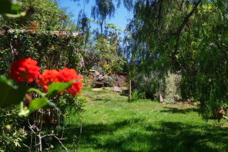 Ländliche Idylle, fast so grün, wie in Deutschland, nur …