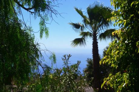 … mit Palmen und Meerblick