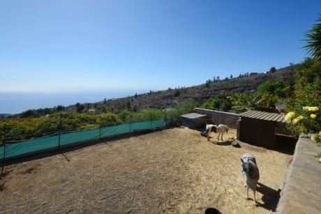 Pferdekoppel, auch für den Bau eines weiteren Wohnhauses zugelassen