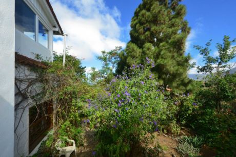 Sch�n eingewachsener Garten