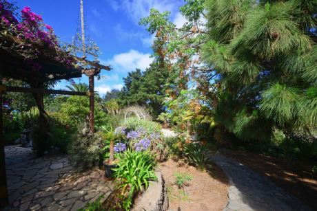 Bl�hende Gartengestaltung