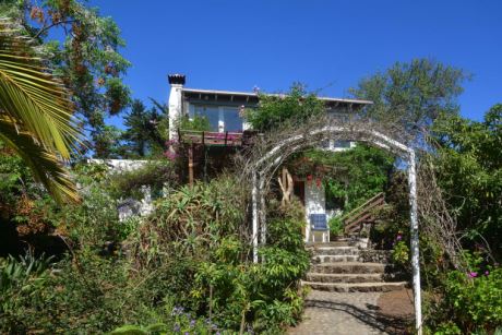 Sch�n eingewachsener Garten