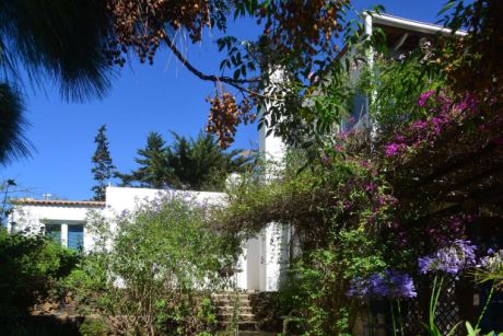 Sch�n eingewachsener Garten