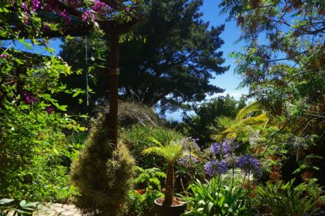 Sch�n eingewachsener Garten