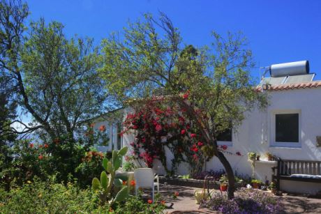 Offene S�dterrasse an der Hauptebene