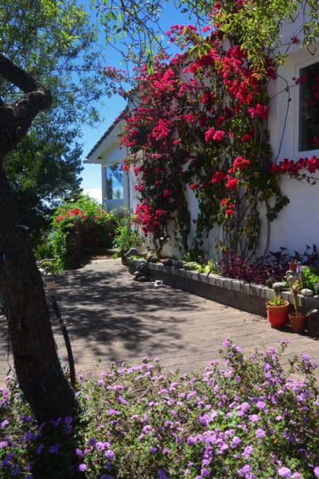 Offene S�dterrasse an der Hauptebene