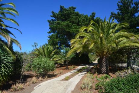 Zufahrt innerhalb des Grundst�cks