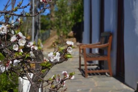 Ansicht von S�dwesten