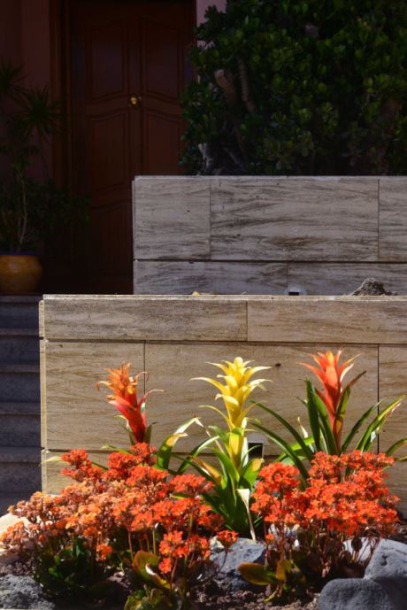 Außenanlage Südseite