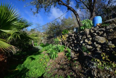 Sch�n eingewachsener, uriger Garten